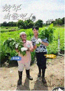 排播图：慢综艺新一期海报与陶土色餐具